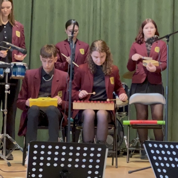 Instrumentinės muzikos ansamblių tarptautinis festivalis ,,Linksmoji gama”