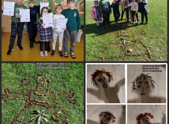 Parodoje JAUSMAI IR EMOCIJOS GAMTOJE 3 
